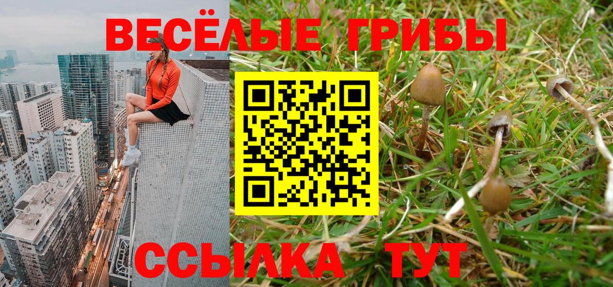 Галлюциногенные грибы GOLDEN TEACHER  где найти наркотики  Сарапул  Вход с VPN  Псилоцибиновые грибы Psilocybine cubensis 
